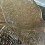 Pair of vintage Arcoroc Aspen Leaf Glass Platters / Plates, Mid century French Dishes Image 10