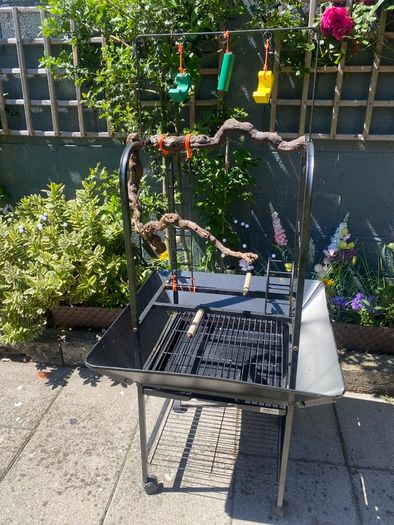 Bird Table