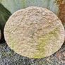 Mill stones Image 5