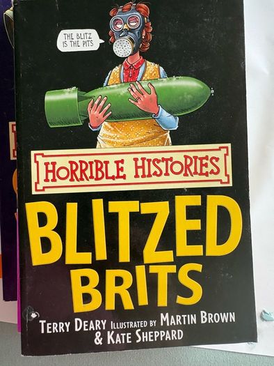 Horrible Histories Books