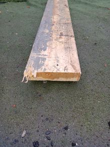Timber, 260 cm in length