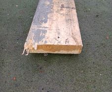 Timber, 260 cm in length