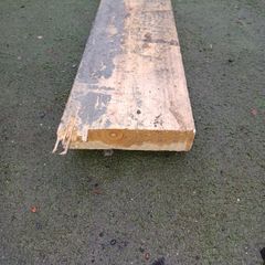 Timber, 260 cm in length