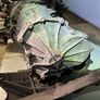 Audi A4 B8 8k A5 8t 1.8 Tfsi Jjf 6 Gear Manual Gearbox Image 5