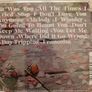 Sharleen Spiteri CD - Melody Image 2