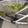 Bikes Image 8