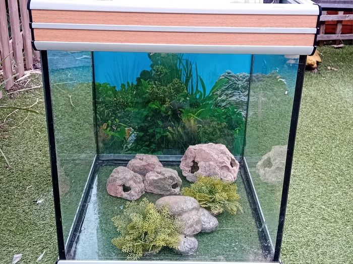 Fish Tank