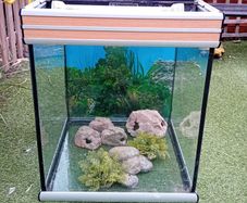 Fish Tank