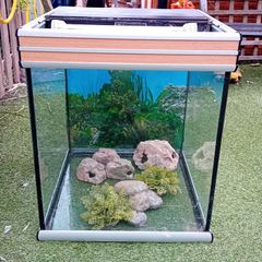 Fish Tank
