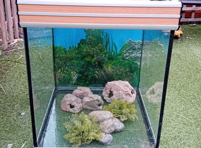 Fish Tank
