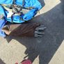 tent, tent poles, marquee poles all Free Image 4