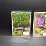 Pokemon Cards Image 2