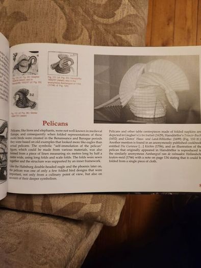 Folded Beauty. The Art Of Napkin Folding.  By John Sallas. Beautiful Illustrated Large Volume Hardbacks In Good Condition. 36.