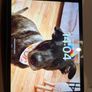 Ipad 7th Gen 128GB Space Grey + Logitech Smart Case Image 2
