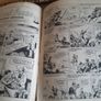 Knockout Annual Image 6