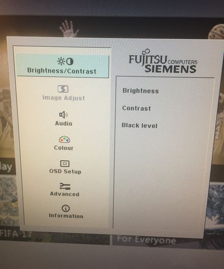Fujitsu Siemens Monitor 19" LCD color