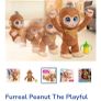 peanut the monkey Image 2