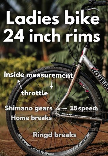 Ladies Goldrush Bicycle