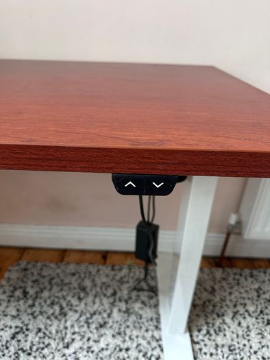 Electric Standing Desk
