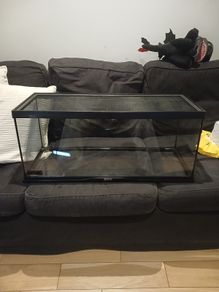 Reptile vivarium