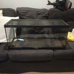 Reptile vivarium