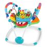 Baby Einstein Jumperoo Bouncer Image 2
