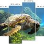 BNIB Turtle Canvas Image 3
