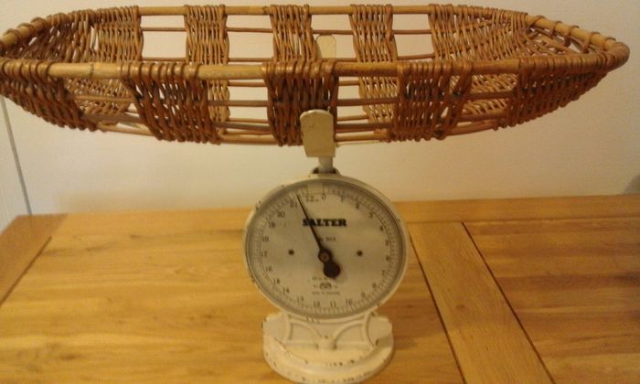 Salters scales