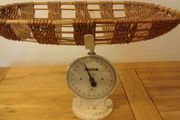 Salters scales