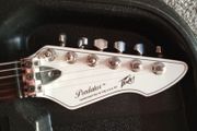 Peavey predator