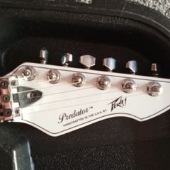 Peavey predator