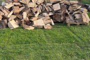 fire wood