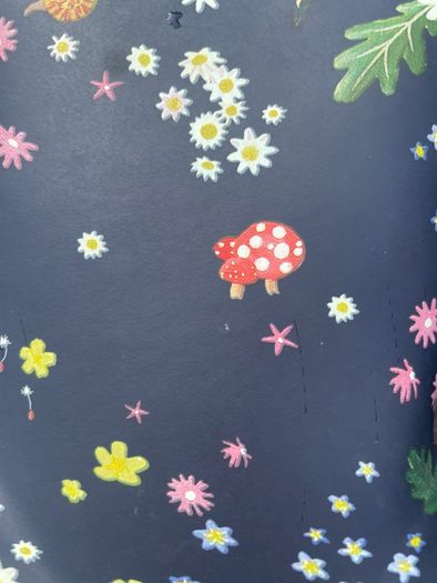 Wellies from Joules, uk 13
