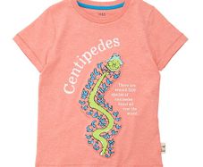 M&S Roald Dahl t-shirt (6-7 years)