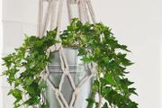 Plant pot hanger