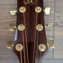 SX Electric Acoustic Guitar Image 2