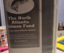 The North Atlantic Salmon Fund