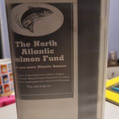 The North Atlantic Salmon Fund