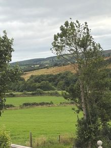 Silage