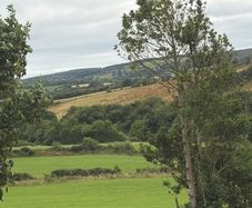 Silage