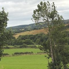 Silage