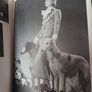 The Animal in Photography, 1843 - 1985/ 1986 Image 7