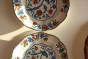 Booths Parrot plates (2) 8.5inch Vintage Decorative plates
