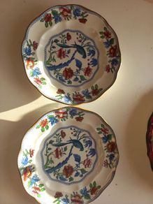 Booths Parrot plates (2) 8.5inch Vintage Decorative plates
