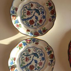 Booths Parrot plates (2) 8.5inch Vintage Decorative plates