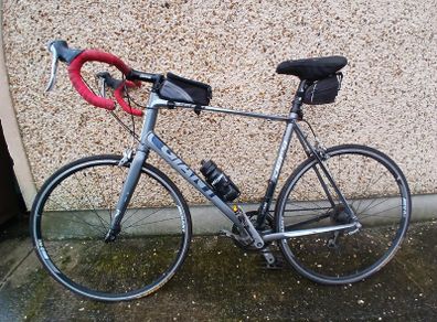 X Large Giant Defy