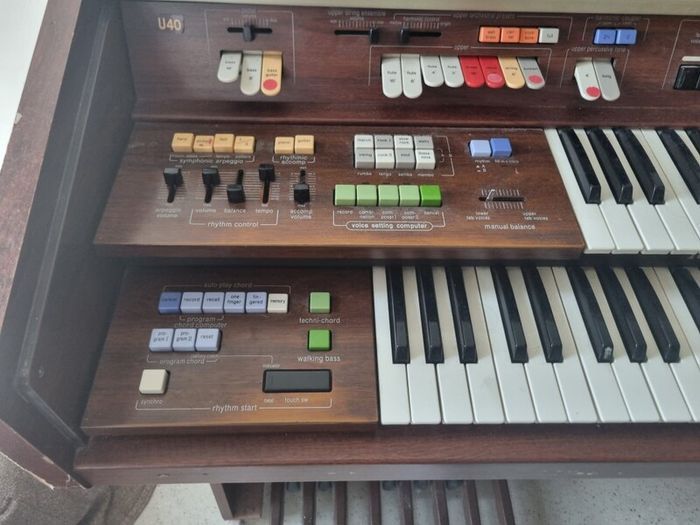 Electric organ