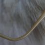 Vintage Elle  Silver Eyeglasses Glasses Image 5