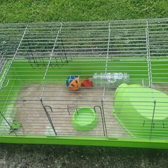 Guinea pig cage