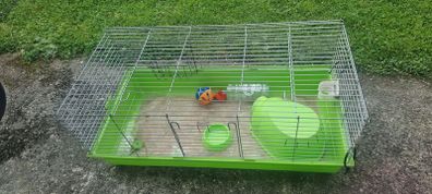 Guinea pig cage